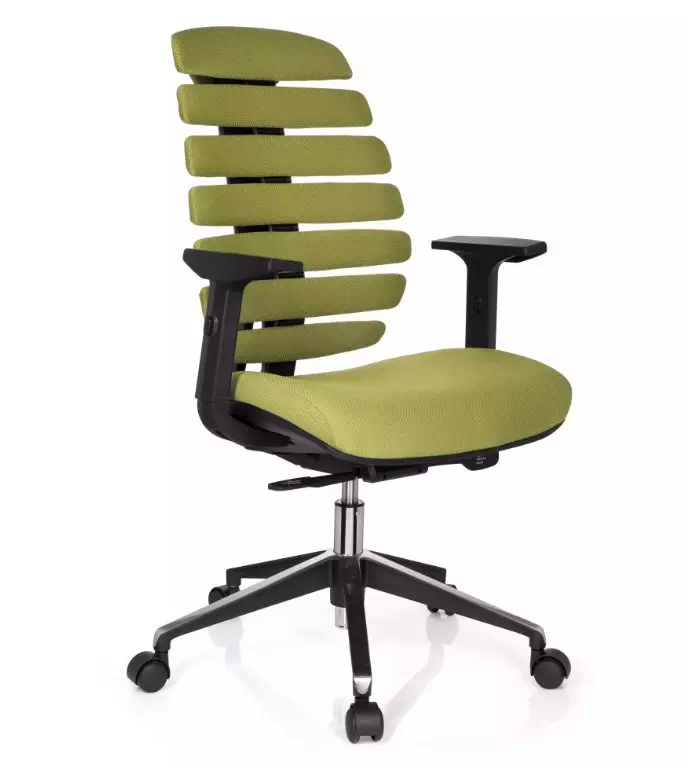 beste ergonomische stoelen voor thuiswerken